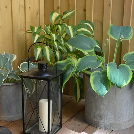 La Parenthese Kaysersberg-Vignoble